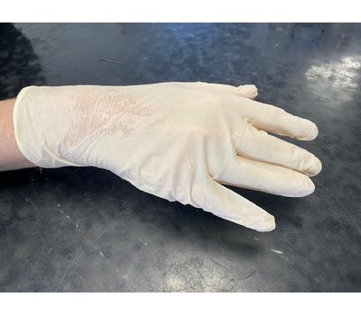 image of White Latex Gloves Powder Free - Large
