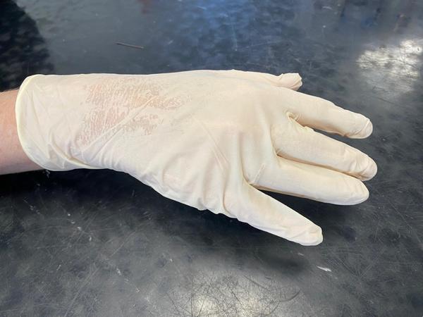 product image for White Latex Gloves Powder Free - Large