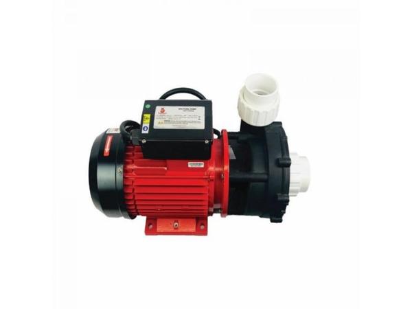 product image for BAD BOY DELTA DUAL SPEED SPA PUMP 0.3/2.0HP